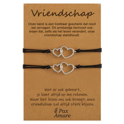 Vriendschapsarmbandjes voor 2 "Vriendschap" - Verbonden Hartjes - BFF Armbandjes met Cadeau Kaartje - Zilverkleurig - Elastisch Verstelbaar - Pax Amare