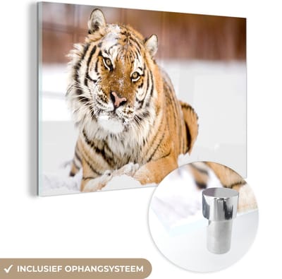 MuchoWow® Glasschilderij 120x80 cm - Schilderij acrylglas - Tijger - Sneeuw - Wit - Foto op glas - Schilderijen