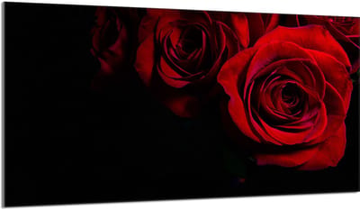 TMK ArtDeko Róża Serie - Glazen Beschermplaat voor Fornuis - 90x52 cm - Gehard Glas
