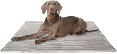 Knuffelwuff Cord Hondenkleed Timor 100x70cm Lichtgrijs
