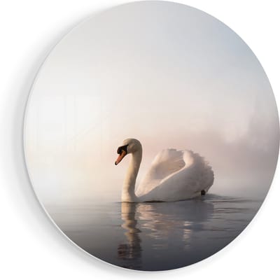 Artaza Forex Muurcirkel Zwaan in het Water tijdens de Mist - 70x70 cm - Wandcirkel - Rond Schilderij - Wanddecoratie Cirkel - Muurdecoratie