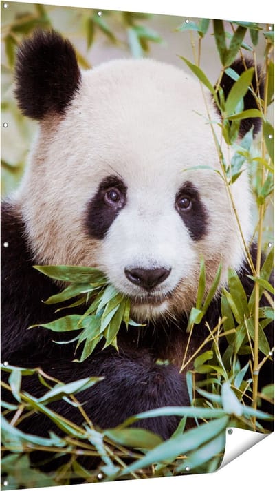 Gards Tuinposter Panda Eet Planten - 120x180 cm - Tuindoek - Tuindecoratie - Wanddecoratie buiten - Tuinschilderij