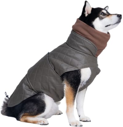 Wintertrui voor honden - Katoenen jasje - Warmtevasthoudend - Regenjas voor honden - Hondenjas – hondenjasjes winter – hondenjas - waterdicht – Maat L - Olijfgroen