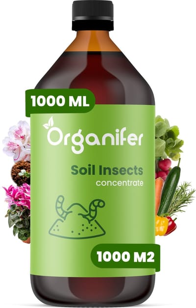 Soil Insects Bodeminsecten Concentraat (1L, 1000m2) - Insecten Bestrijding - Taxuskever Bestrijden - Toepasbaar bij Spint, Ritnaalden, Bodem - Aardrupsen, Larven van Prachtkevers en Spintkevers en andere schadelijke insecten - Organifer