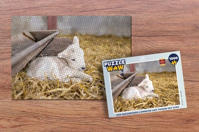 Puzzel Een pasgeboren lammetje ligt tussen het stro - Legpuzzel - Puzzel 1000 stukjes volwassenen