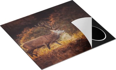 Chefcare Inductie Beschermer Hert in het Gras met Mist - 60x50 cm - Afdekplaat Inductie - Kookplaat Beschermer - Inductie Mat