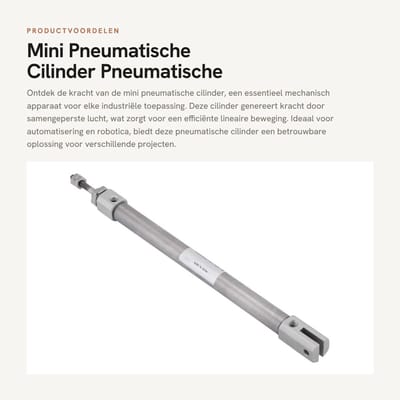 Dailygoods- Pneumatische Cilinder Dubbelwerkend - Mini Cilinder - 10mm Boring - 100mm Slag - Roestvrij Staal - Corrosiebestendig - Luchtcilinder