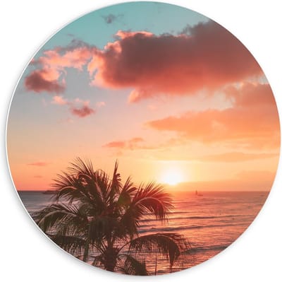KuijsFotoprint - Schilderij - Palmboom Bij Zonsondergang - Groen, Blauw En Roze - 60 X 60 Cm