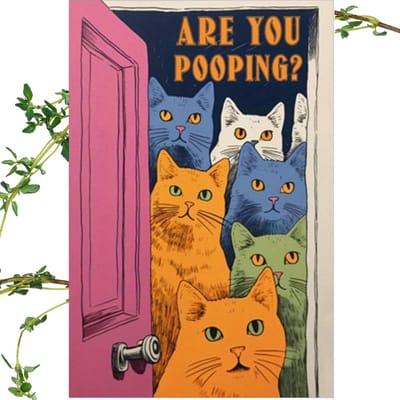 Nivard Are You Pooping Cat - Are You Pooping - Have A Nice Poop - Your Butt Napkins My Lord - Poster - Grappige Poster - 21x30cm