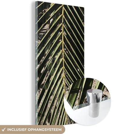 MuchoWow® Glasschilderij 60x120 cm - Schilderij acrylglas - Palmblad - Tropisch - Zomer - Foto op glas - Schilderijen