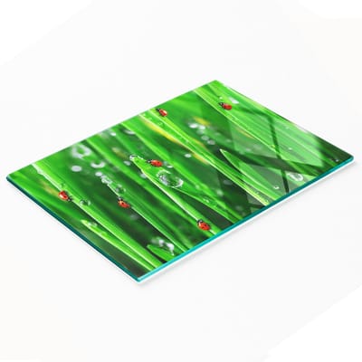 Decoratieve glazen keukensnijplank met lieveheersbeestje- en grasmotief, 80x52 cm