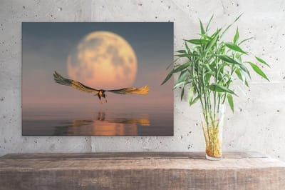 Artaza Canvas Schilderij Vogel Boven Zee - 40x30 cm - Klein - Wanddecoratie Vogels - Muurdecoratie Maan - Kamer Accessoires Woonkamer