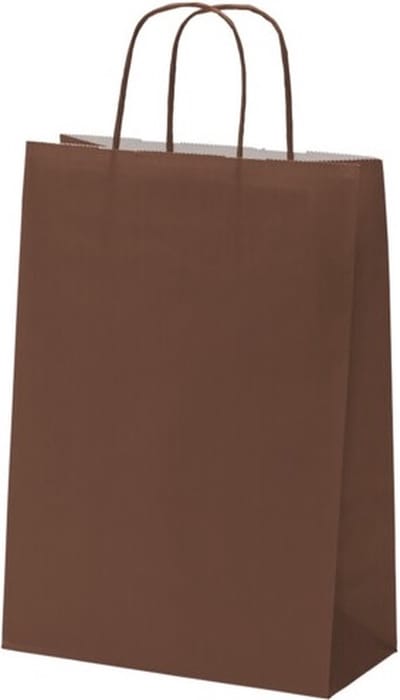 Cadeautasjes met platte handgreep, budget tassen bruin, 18x7x24cm (25 stuks)