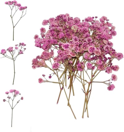 Droogbloemen kleine babyadem echte natuur roze - 50 stuks