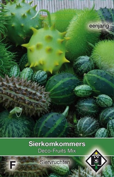 2 stuks Van Hemert & Co Cucumis Deco Fruits Mix