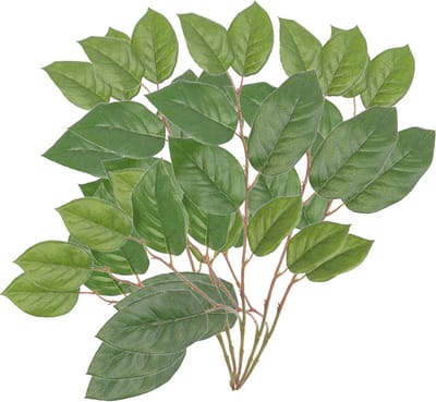 Bellatio flowers & plants Appelboom groene takken - 5x stuks - kunstplant - 77 cm