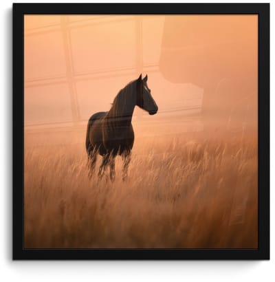 Poster in lijst - Fotolijst 40x40 cm - Posters - Paard - Grasveld - Zonsondergang - Posterlijst zwart - Decoratie - Wanddecoratie woonkamer - Muurdecoratie slaapkamer