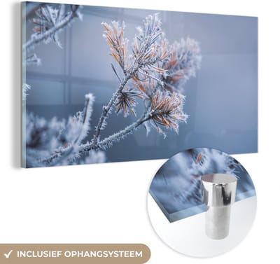 MuchoWow® Glasschilderij 40x20 cm - Schilderij acrylglas - Dennennaalden - Planten - IJs - Sneeuw - Winter - Foto op glas - Schilderijen