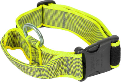 Halsband met Handvat, Veiligheidsslot en Verwisselbare Labels voor Honden - Neon-Grijs 40 mm (38-53 cm)