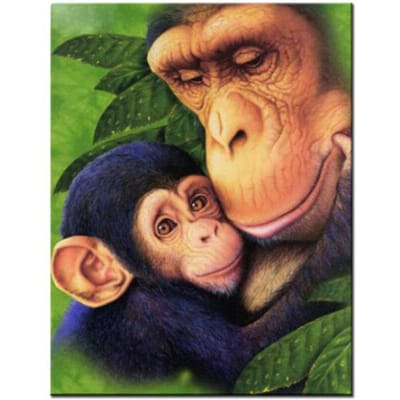 Diamant borduurwerk volledige set chimpansee diamant schilderij dier diamant mozaïek steentjes foto 20X30CM beige