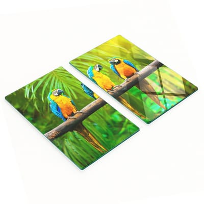 Geharde multifunctionele decoratieve glazen borden met papegaaientakmotief, 2x30x52 cm