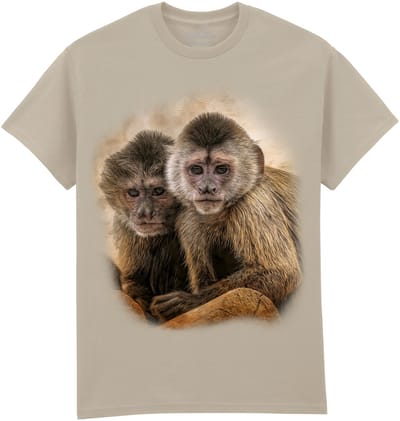 Doodshoofdaapjes Apen Companions In Mischief The Coloured House T-shirt XXL