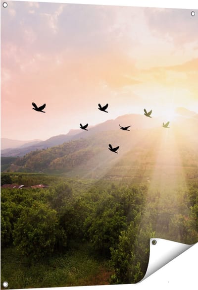 Gards Tuinposter Silhouet Zwerm Vogels bij Zonsondergang - 80x100 cm - Tuindoek - Tuindecoratie - Wanddecoratie buiten - Tuinschilderij