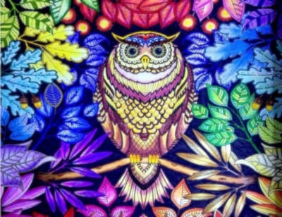 TOPMO -Kleurrijke Uil- Diamond painting- HQ Diamond Painting pakket - VOLLEDIG dekkend - Diamant Schilderen - voor Volwassenen – ROND- 40X50CM