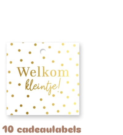 10x Cadeaulabel Welkom kleintje - geboorte - naamkaartje - cadeautag - hangtag - cadeauhanger - leuk inpakken - naamlabel - cadeauversiering -