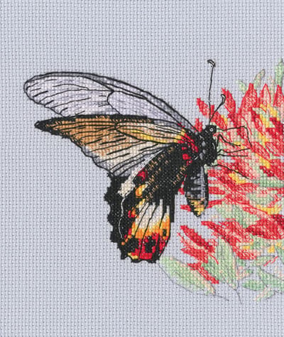 RTO borduurpakket Nectar for the Butterfly M755