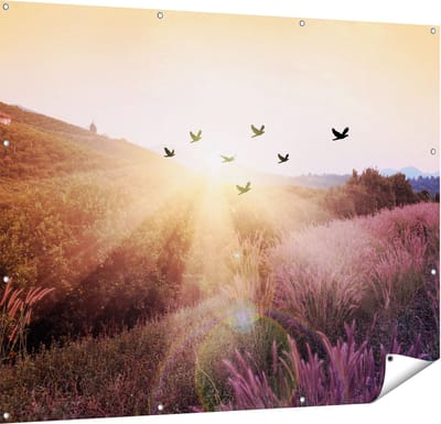 Gards Tuinposter Silhouet Zwerm Vogels bij Zonsondergang - 150x120 cm - Tuindoek - Tuindecoratie - Wanddecoratie buiten - Tuinschilderij