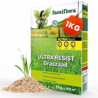 Famiflora graszaad 1kg tot 40m² - Ultra Resist - alleskunner - Snel herstellend gazon zodat kale plekken snel verdwijnen en het gras gelijkmatig blijft