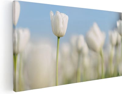 Artaza Canvas Schilderij Witte Tulpen - 40x20 cm - Klein - Wanddecoratie Bloemen - Muurdecoratie Bloemenveld - Schilderijen Op Canvas