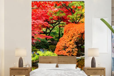 Behang - Fotobehang Bomen - Japans - Stenen - Pad - Natuur - Breedte 225 cm x hoogte 350 cm