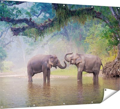 Gards Tuinposter Twee Olifanten in het Water - 160x120 cm - Tuindoek - Tuindecoratie - Wanddecoratie buiten - Tuinschilderij