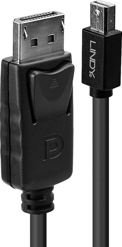 LINDY 41646 DisplayPort-kabel Mini-displayport / DisplayPort Adapterkabel Mini DisplayPort-stekker, DisplayPort-stekker 2.00 m Zwart Vergulde
