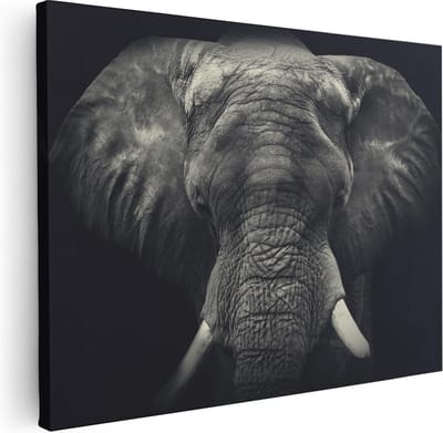 Artaza Canvas Schilderij Dierenkop Olifant - 40x30 cm - Klein - Muurdecoratie Zwart Wit - Wanddecoratie Dieren - Kamer Accessoires Woonkamer