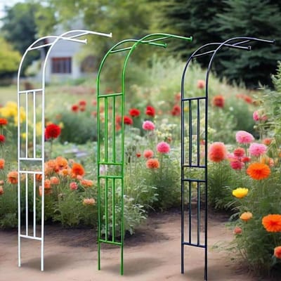 Tuinpaviljoen Halve Boog - Pergola Klimplanten - Tuin Decoratie - Uniek Boogontwerp - 120 x 240 cm - Zwart