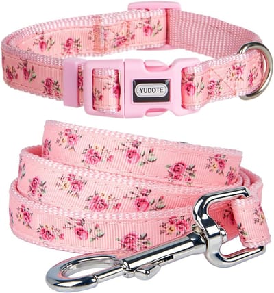 Halsband en riem set voor kleine honden - Sterke nylon met bloemenprint - Ideaal voor dagelijks gebruik