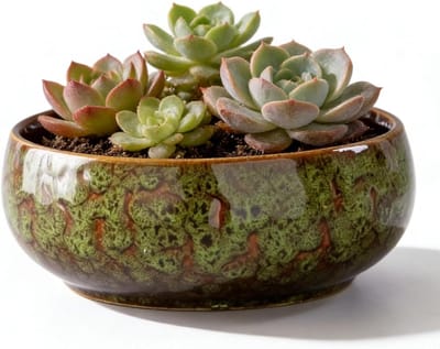 Omgoods - Lotus Bonsai Bloempot van Keramiek, 16.5 x 6.5 cm