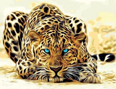 Schilderen op Nummer - Panter / Luipaard - Painting by Numbers - 50x40 cm - Complete Set
