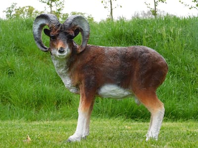 Beeld Ram - 65 cm - Polystone