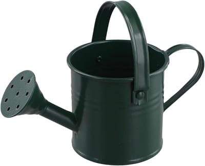 Gieter Metaal - Planten watergift - Planten Verzorgen - Lange Nauwkeurige Uitloop - 17 cm Hoog - Legergroen