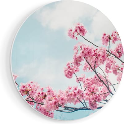 Artaza Forex Muurcirkel Roze Bloesemboom - Bloemen - 50x50 cm - Klein - Wandcirkel - Rond Schilderij - Muurdecoratie Cirkel