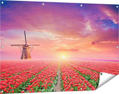 Gards Tuinposter Rode Rozen Bloemenveld met een Windmolen - 120x80 cm - Tuindoek - Tuindecoratie - Wanddecoratie buiten - Tuinschilderij