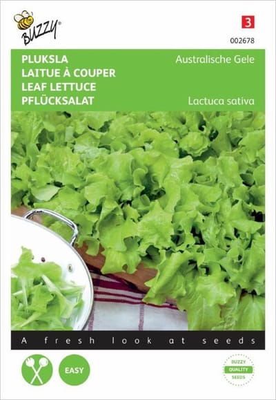 Buzzy Zaden - Pluksla Australische Gele - Lactuca sativa