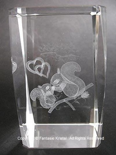 Laserblok Eekhoorns