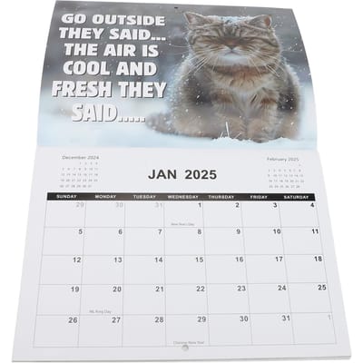 2025 Boze Kat Kalender 28.5x21cm Leuke Interessante Kat Thema Muurkalender voor Dierenliefhebber gray
