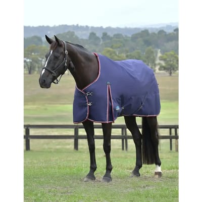 Outdoor paardendeken Weatherbeeta Comfitec Essential 220g