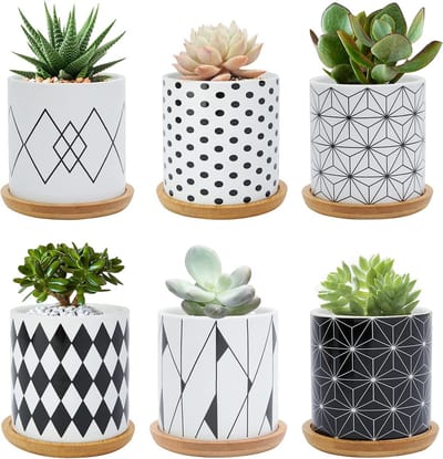 Bloempotten Set van 6 - Keramische Bloempotten 7,5 cm - Geometrisch Patroon - Bamboe Onderzetter - Voor Cactussen/Kamerplanten - Binnen/Buiten - Plantpotten